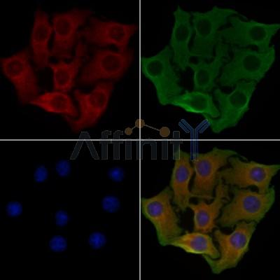 Валидация Affinity DF3747 - 14818