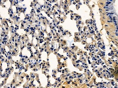 Валидация Affinity DF10148 - 5673