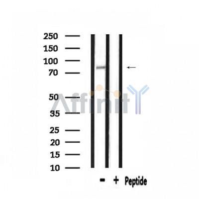 Валидация Affinity DF3531 - 14469