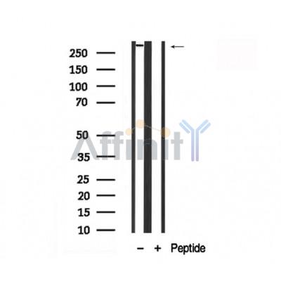 Валидация Affinity AF7864 - 4603