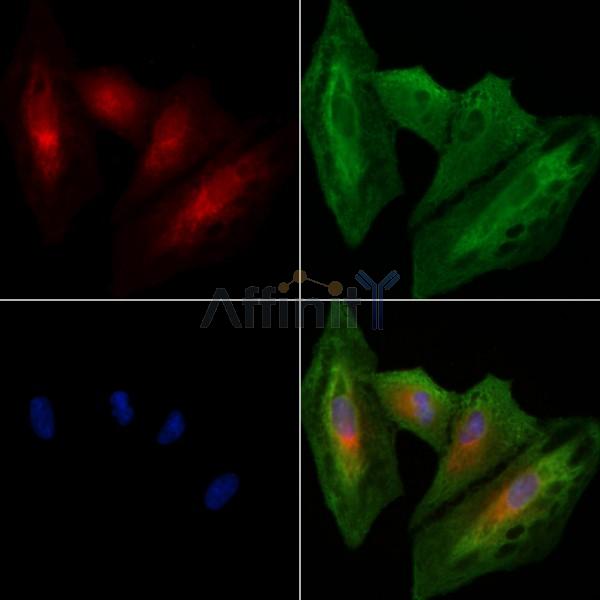 Валидация Affinity DF8643 - 20596