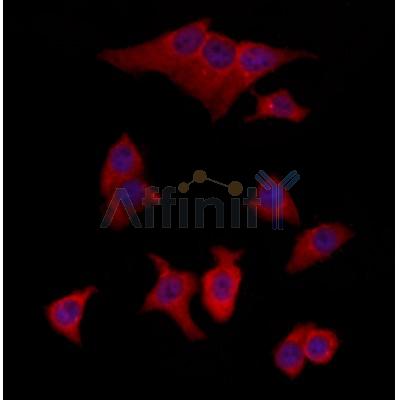 Валидация Affinity DF12238 - 6542