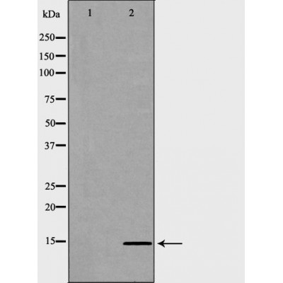 Валидация Affinity DF6718 - 18243
