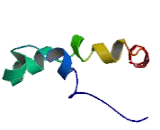 SWI/SNF Related, Matrix Associated, Actin Dependent Regulator Of Chromatin, Subfamily B, Member 1 (SMARCB1)