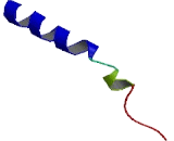 Olfactory Receptor 10H3 (OR10H3) Olfactory Receptor 10H3 (OR10H3)