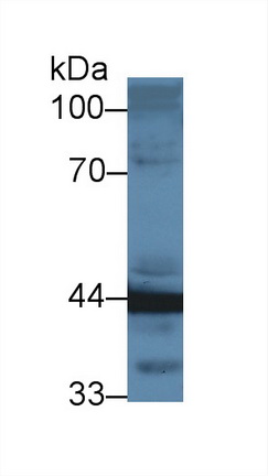 12834