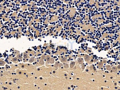 Валидация Affinity DF12824 - 7537