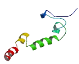 Interferon Induced Transmembrane Protein 3 (IFITM3) Interferon Induced Transmembrane Protein 3 (IFITM3)