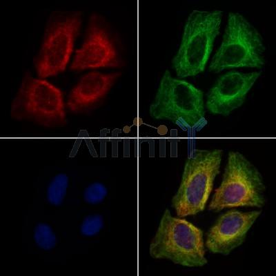 Валидация Affinity DF7441 - 19191