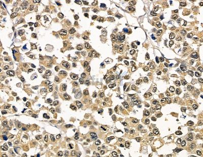 Валидация Affinity DF13753 - 9409