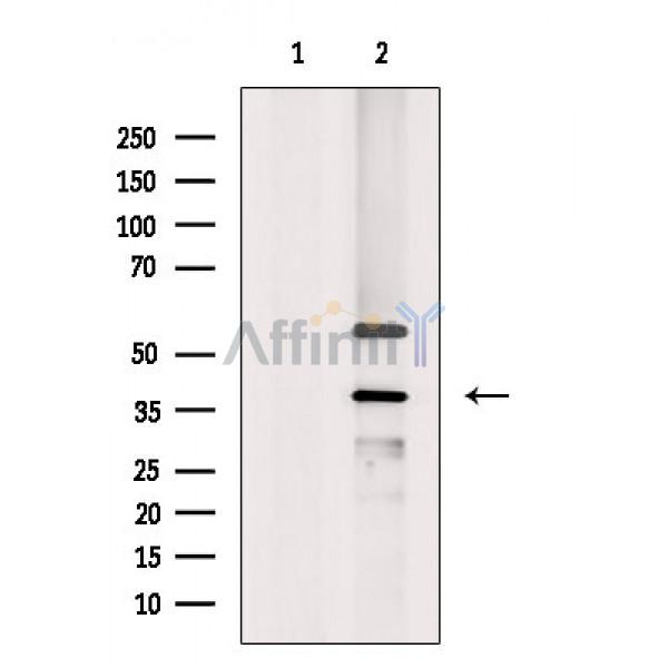 Валидация Affinity DF3482 - 14398