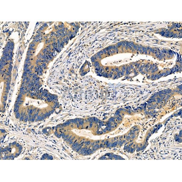 Валидация Affinity DF3000 - 13738