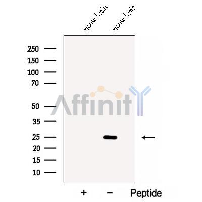 Валидация Affinity DF12875 - 7612