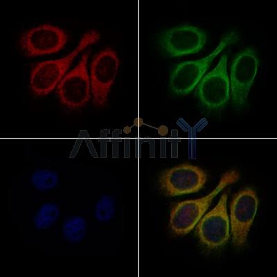 Валидация Affinity DF3964 - 15178