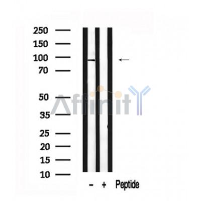 Валидация Affinity AF7563 - 4227