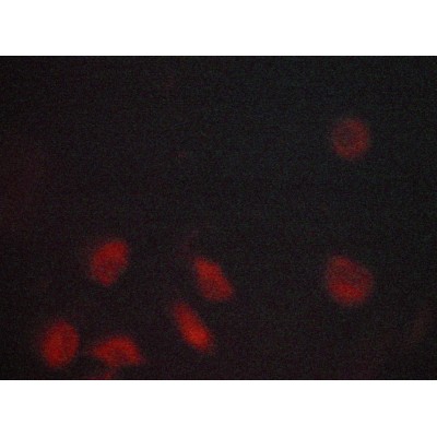 Валидация Affinity AF6098 - 3307