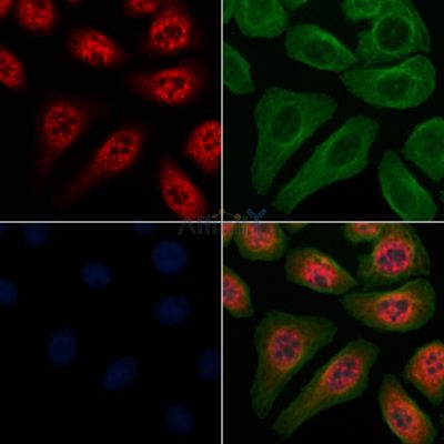 Валидация Affinity AF6906 - 4108