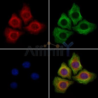 Валидация Affinity DF13219 - 8241