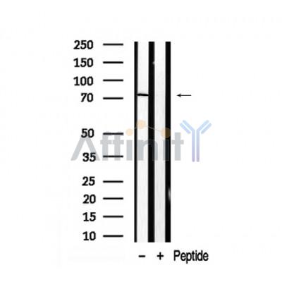 Валидация Affinity AF7925 - 4673