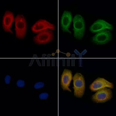 Валидация Affinity DF6593 - 18038