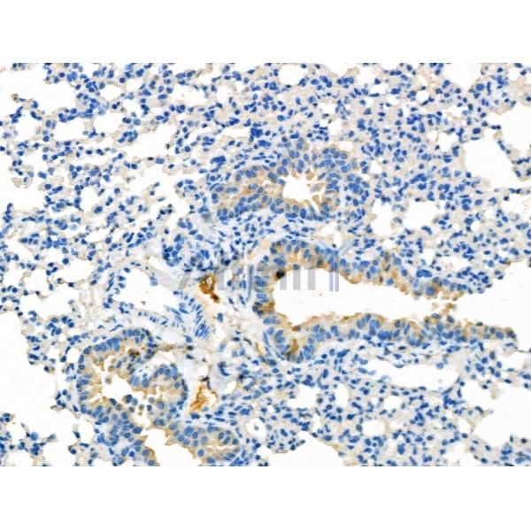 Валидация Affinity DF6739 - 18283