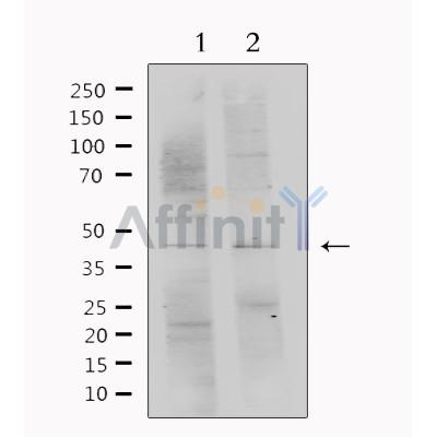 Валидация Affinity DF6547 - 17983
