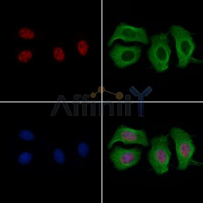 Валидация Affinity AF6200 - 3432