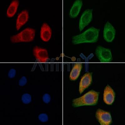 Валидация Affinity DF4958 - 16794