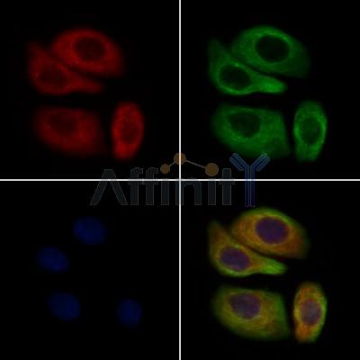 Валидация Affinity AF7793 - 4509