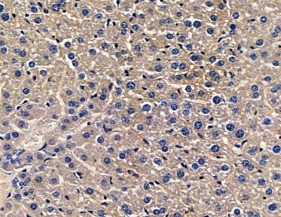 Валидация Affinity DF14010 - 9771