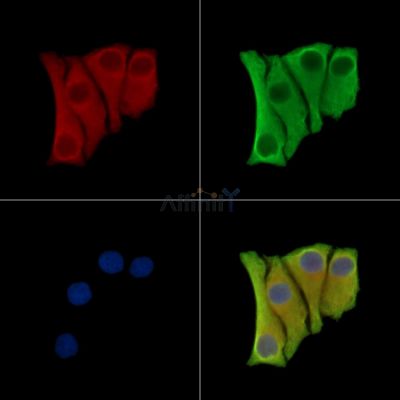 Валидация Affinity DF9426 - 21988