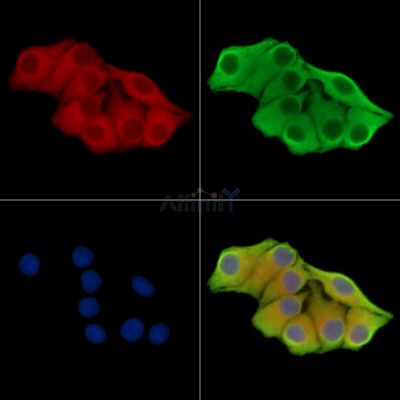 Валидация Affinity DF14428 - 10379