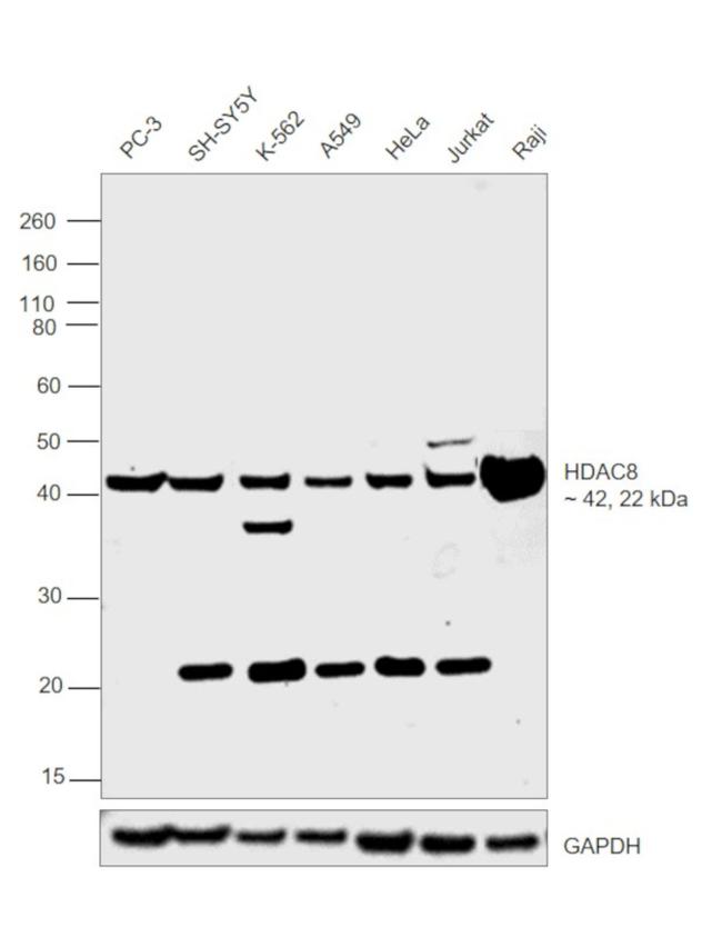 Валидация AssayVector ARM2737(5286)