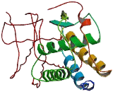 Colony Stimulating Factor 1, Macrophage (MCSF) Colony Stimulating Factor 1, Macrophage (MCSF)