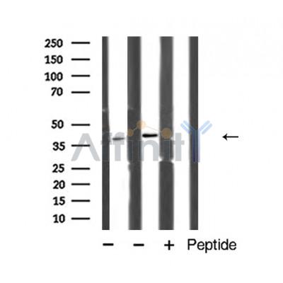 Валидация Affinity AF5130 - 2508