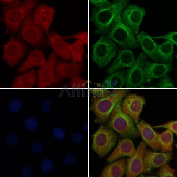 Валидация Affinity DF5074 - 16986