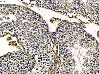 Валидация Affinity DF13960 - 9711