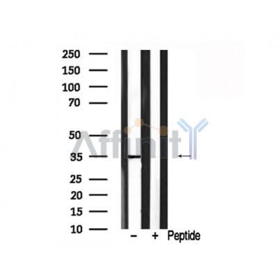 Валидация Affinity AF7774 - 4483