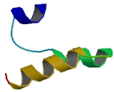 Interferon Induced Protein With Tetratricopeptide Repeats 1 (IFIT1) Interferon Induced Protein With Tetratricopeptide Repeats 1 (IFIT1)