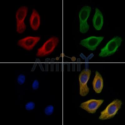 Валидация Affinity AF6282 - 3539