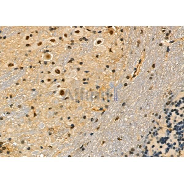 Валидация Affinity DF6892 - 18486