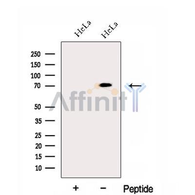 Валидация Affinity DF12968 - 7737