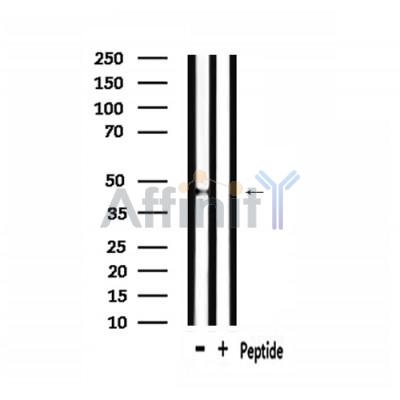 Валидация Affinity DF2795 - 13538