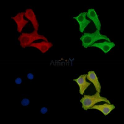 Валидация Affinity DF15708 - 12177