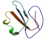 Glycosylphosphatidylinositol Anchored High Density Lipoprotein Binding Protein 1 (GPIHBP1)