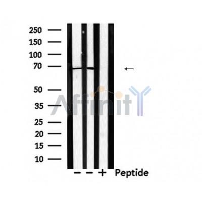 Валидация Affinity DF7258 - 18918