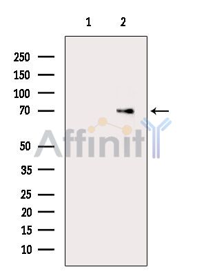 Валидация Affinity DF8840 - 20914