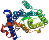 Taste Receptor Type 2 Member 9 (TAS2R9) Taste Receptor Type 2 Member 9 (TAS2R9)
