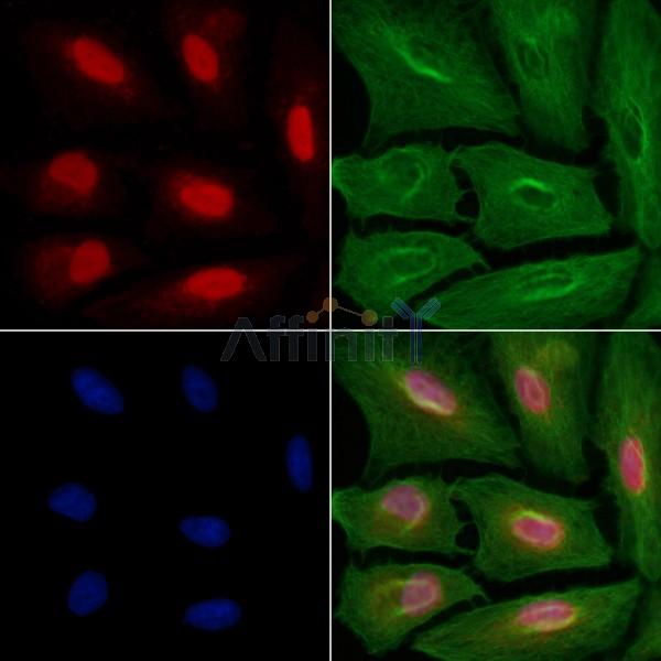 Валидация Affinity DF3118 - 13886