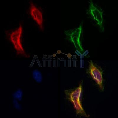 Валидация Affinity AF5247 - 2745